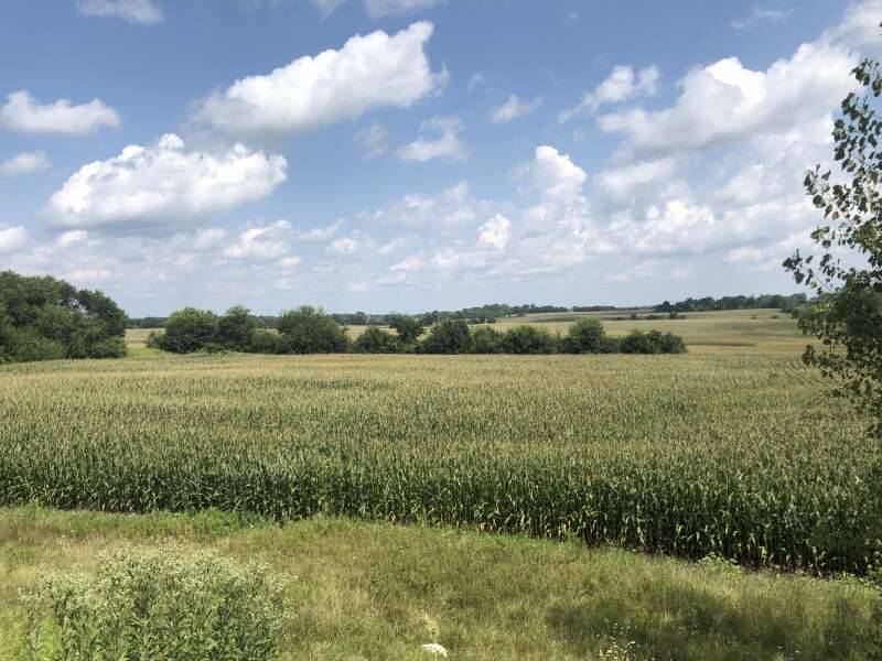 Looking east from Harley Road, just north of the Union Pacific tracks, toward land that Pulte Home Corp. wants to build on.