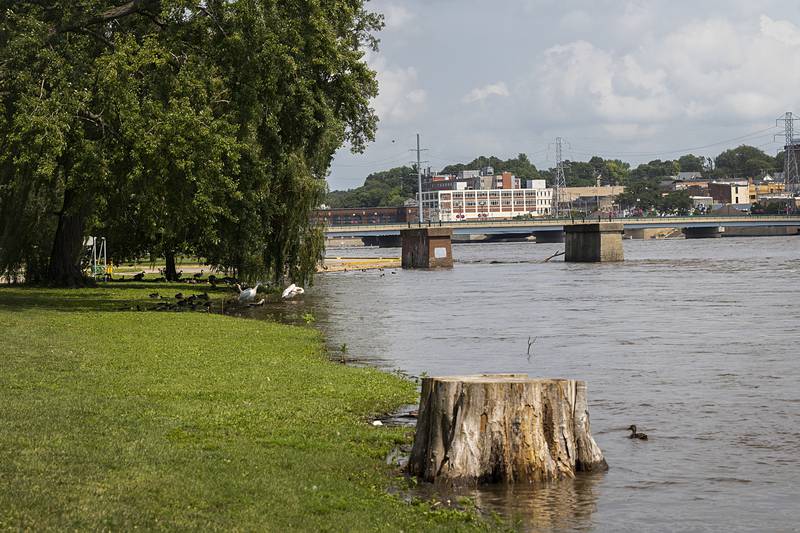 Water starts to creep up the banks of the Rock River Monday, July 15, 2024 at Page Park in Dixon. High rains in Rockford are posed to flow this way and raise the levels even higher.