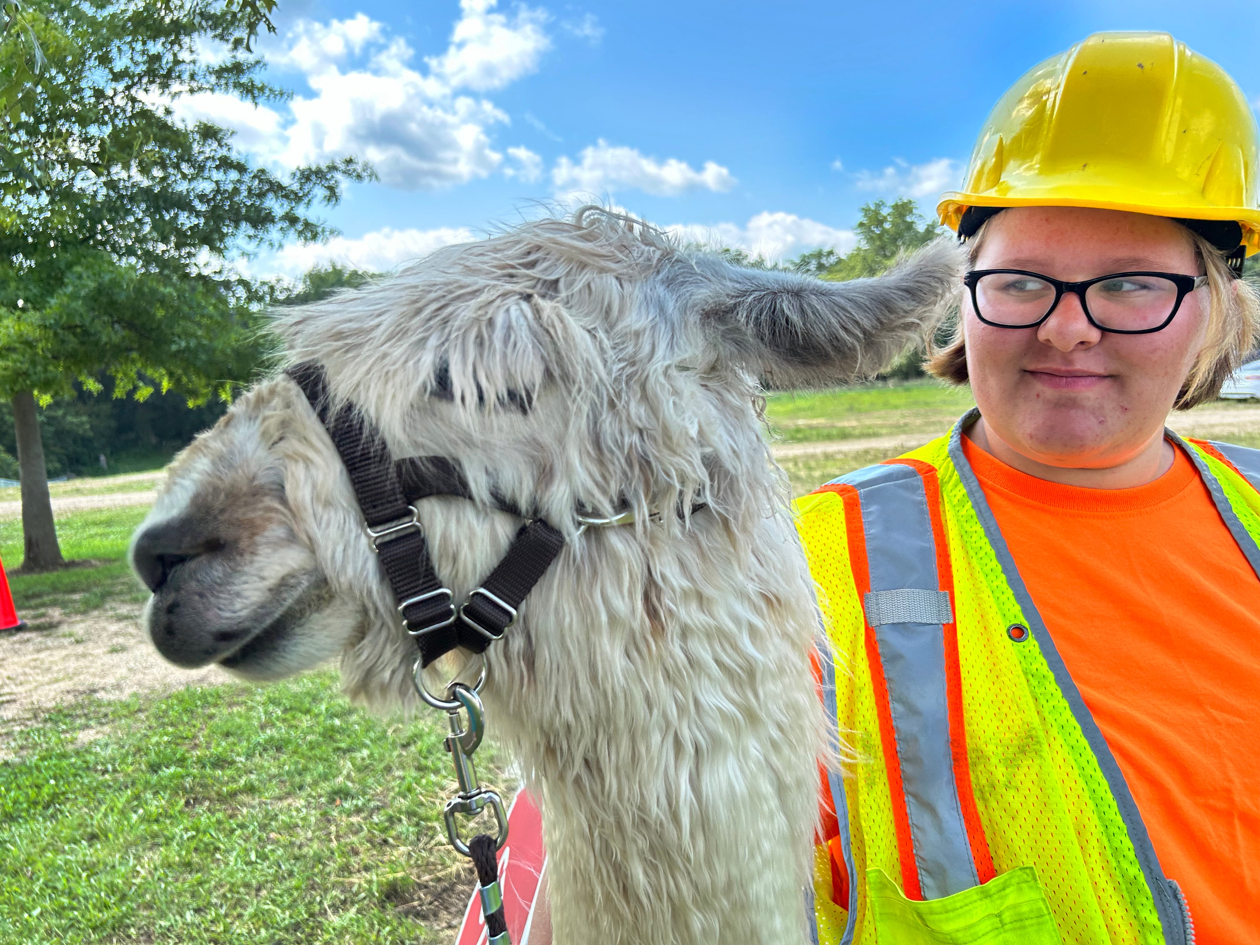 Eliizabeth Kennedy, 15, of Davis Junction, and Barnstomer, took part in the llama show at the Ogle County 4-H Fair on Friday, Aug. 2, 2024 at the Ogle County Fairgrounds. Kennedy is a members of the newly formed Legendary Llamas 4-H Club. Barnstormer belongs to Blue Moon Llamas of Byron.