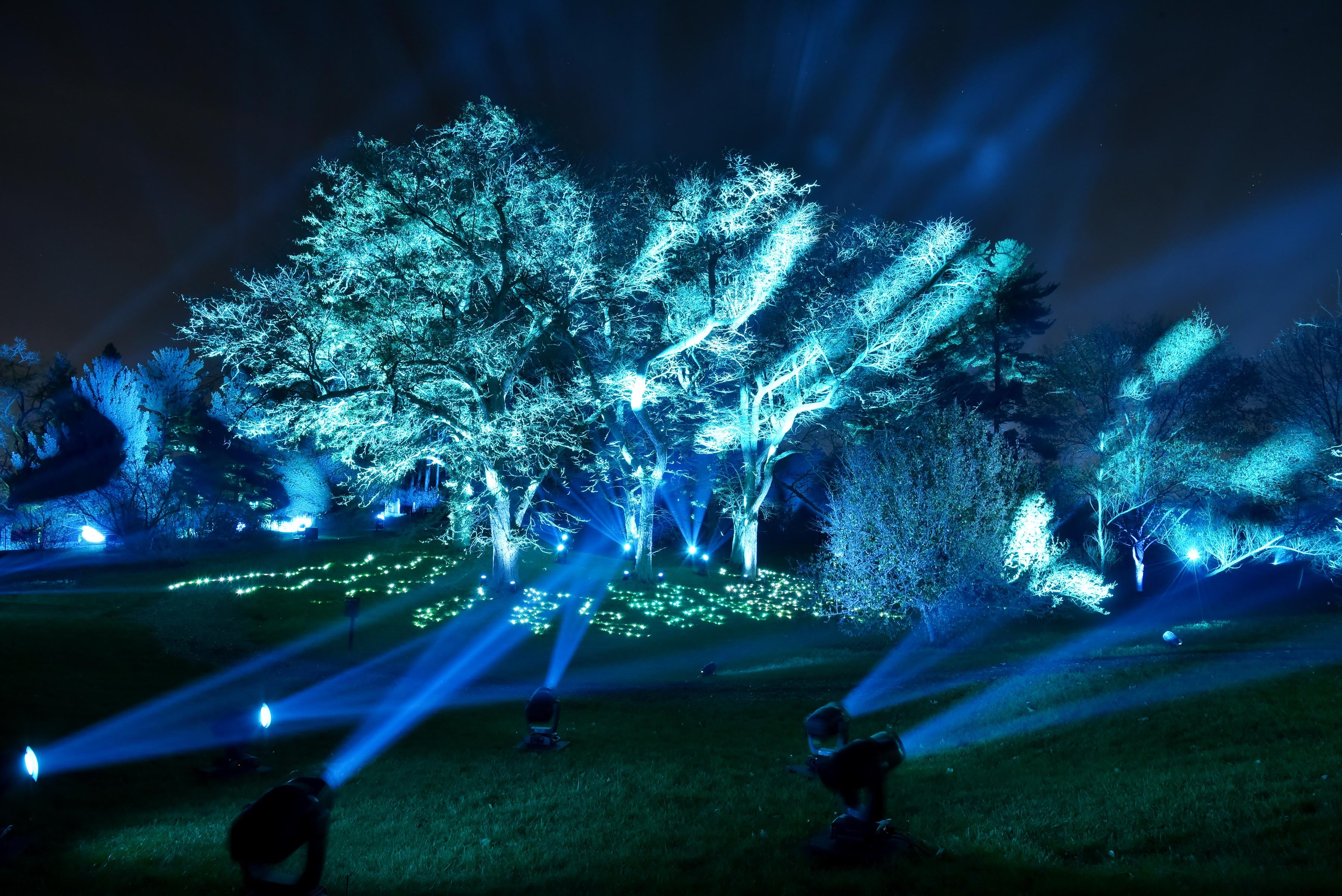 Photos: 2023 Illumination: Tree Lights at The Morton Arboretum  