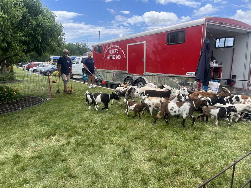 Miller’s Petting Zoo workers herded the farm animals back into the trailer as the Dixon Summer Block Party came to a close around noon on Saturday. The mobile zoo brought a donkey, a calf, young goats, lambs, baby pigs, and ducks.
Throughout the day, community members were invited inside the pen to feed and pet the animals.