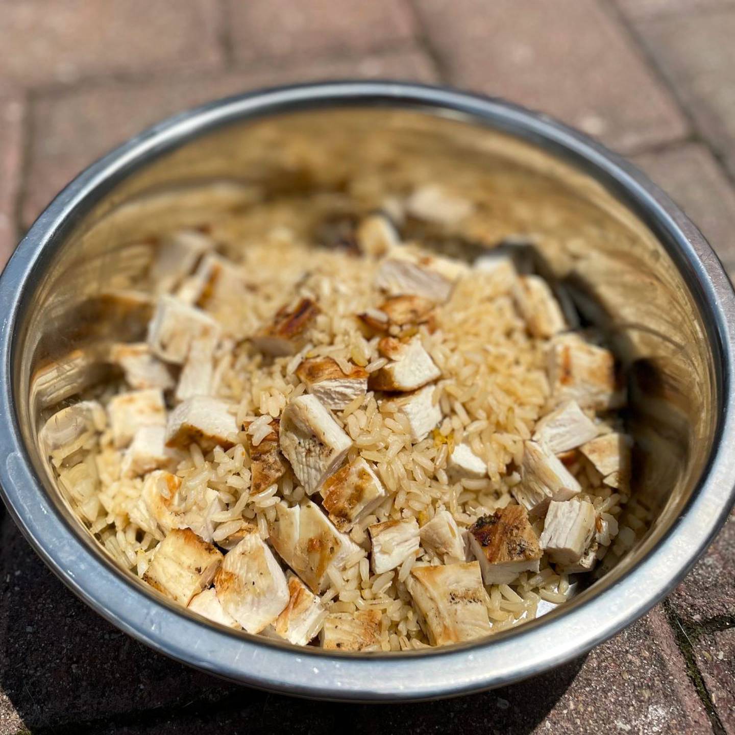 Both Craft’d and Chop'd in Plainfield offer the Bird Dog Chicken (grilled chicken breast with brown rice and six bones) to its canine customers.