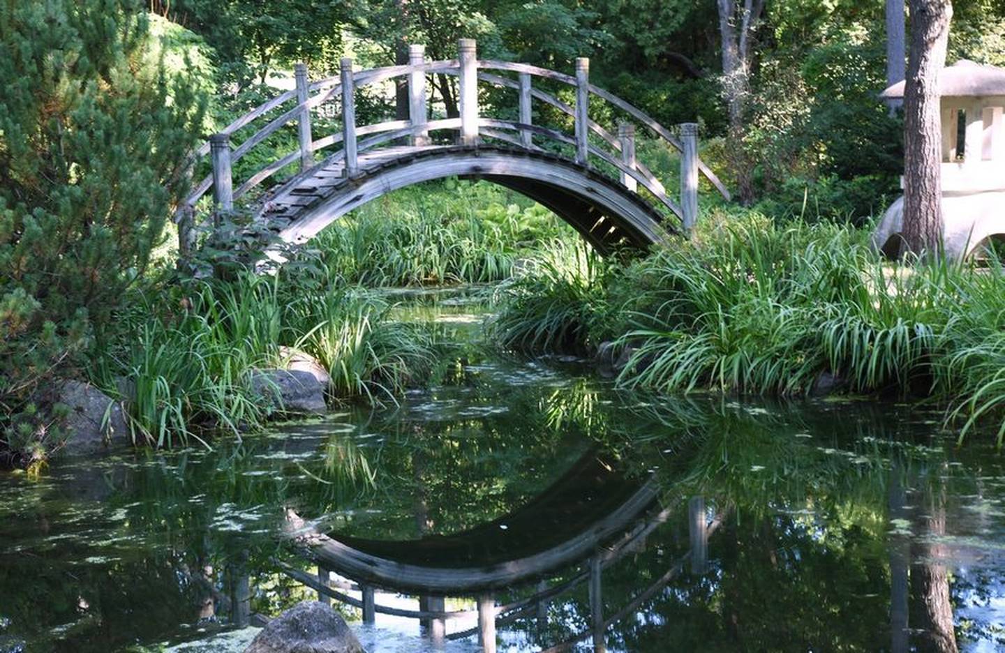 Members of the Geneva Garden Club have renewed their efforts to restore the Japanese Tea Garden at Fabyan Forest Preserve in Geneva.