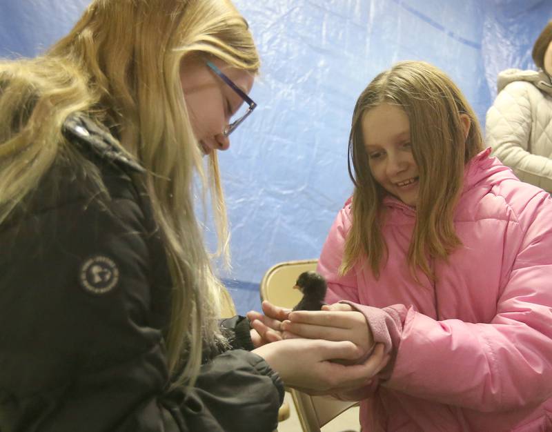 Photos Students attend Bureau County Ag Fair in Princeton Shaw Local