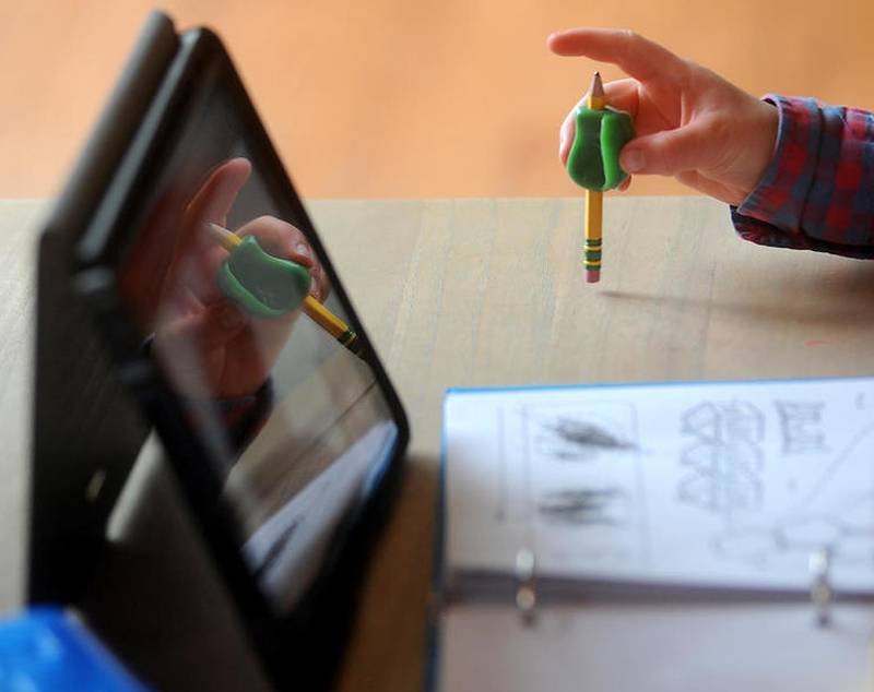 A Crystal Lake Elementary School District 47 student participates in remote learning during the COVID-19 pandemic. Officials said the pandemic exacerbated mental health struggles for many students, and District 47 is partnering with a telehealth service to provide more mental health support.