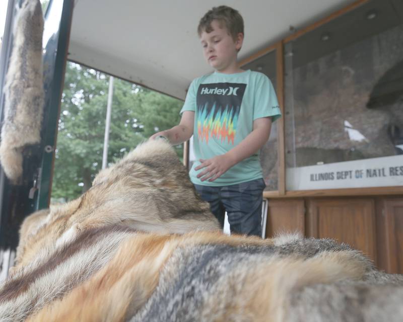 Jackson Neff of Princeton, pets animal furs inside the Illinois Department of Natural Resources educational trailer during the National Nigh Out event on Tuesday, Aug. 6, 2024 at Zearing Park in Princeton.