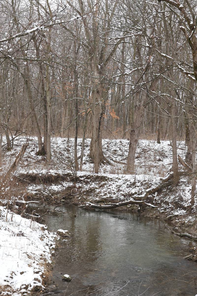 Snow covered trees line a creek Friday, March 10, 2023, at Shabbona Lake State Park in Shabbona. Snow over night in DeKalb County resulted in a dusting to four inches depending on where you were at.