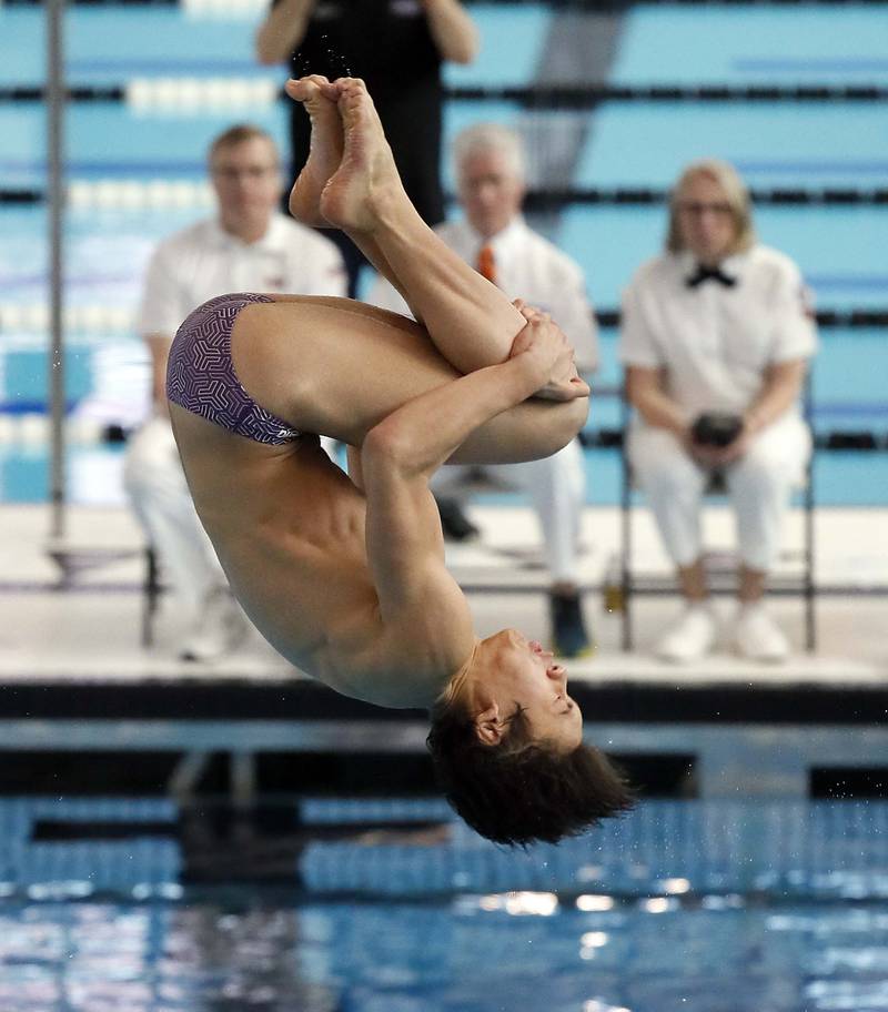 Kyren Whiting of Rolling Meadows competes in the Boys 1 mtr Diving during the IHSA Boys state swim finals Saturday February 25, 2023 in Westmont.