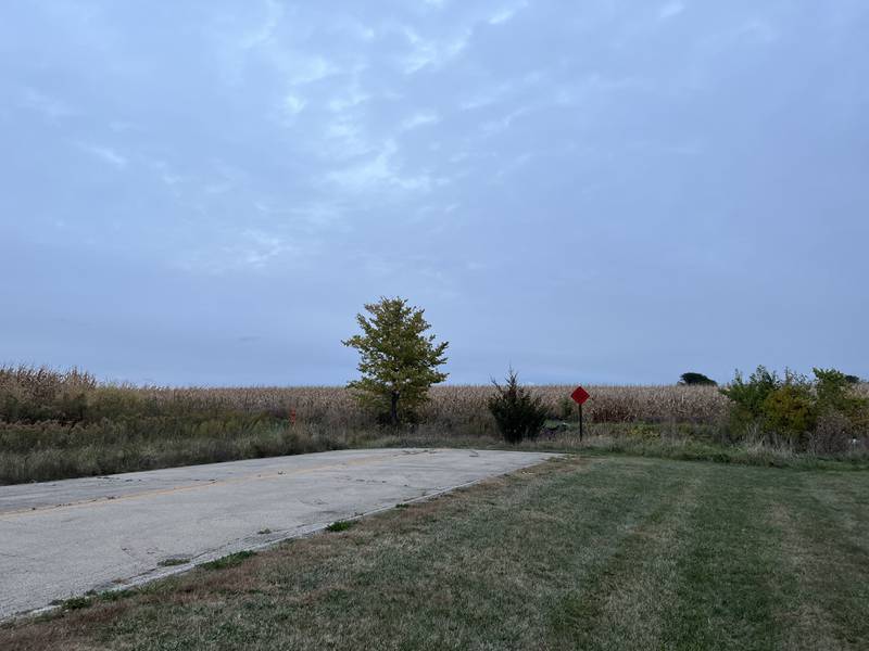 The dead end of East Corporate Drive in Dixon's industrial park was the site of a crash on Sept. 14 where the driver launched the stolen vehicle about seven rows deep into the field of fully developed corn.