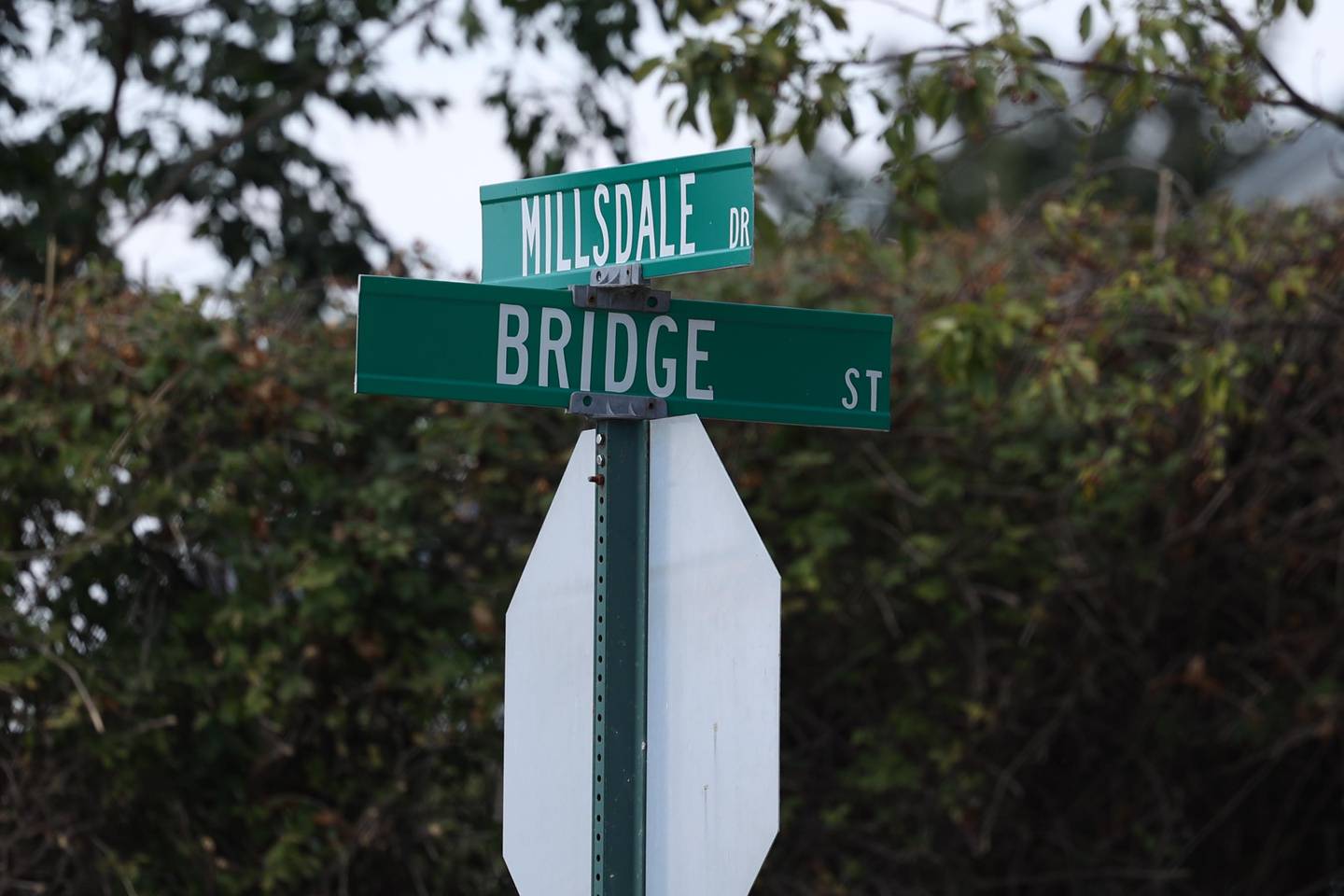 Elwood residents have voiced complaints about the truck traffic along Millsdale Drive at several Joliet City Council meetings.