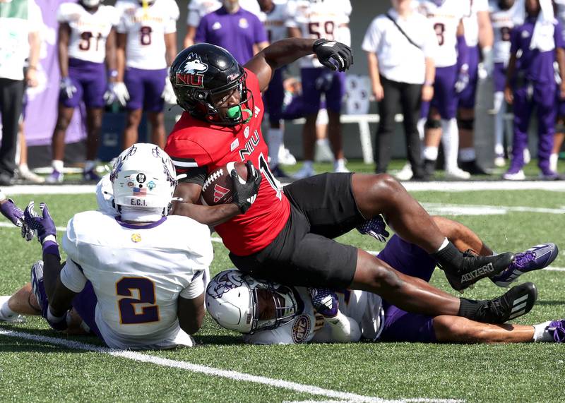 Northern Illinois' Antario Brown drives for extra yardage through two Western Illinois tacklers during their game Saturday, Aug. 31, 2024, in Huskie Stadium at NIU in DeKalb.