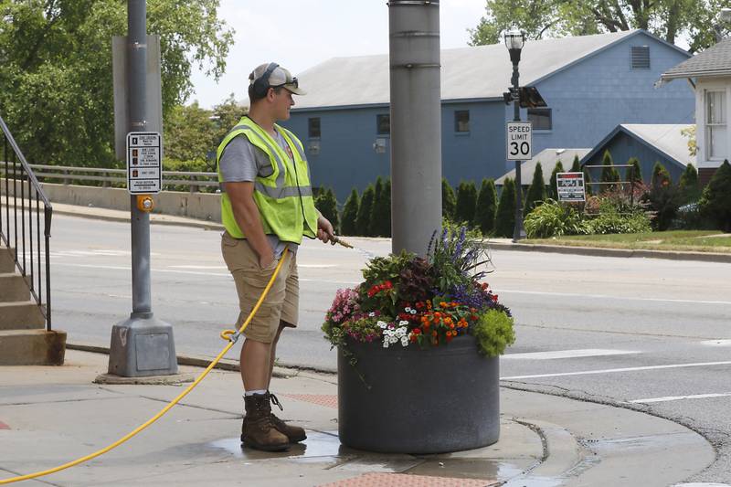 A worker for the City of McHenry waters flowers at the corner of north Riverside Drive and West Elm Street on Wednesday, June 19, 2024, in McHenry.