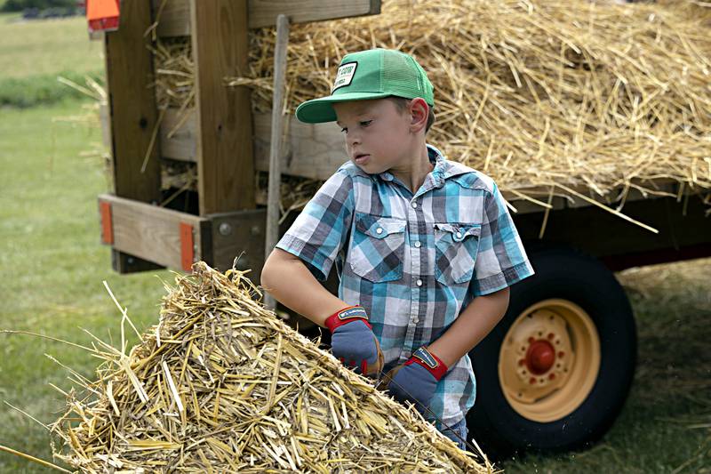 Duke Bergfeld, 7, of Harmon unloads straw bails Saturday, August 5, 2023 at the Living History Antique Equipment Association’s farm show in Franklin Grove.