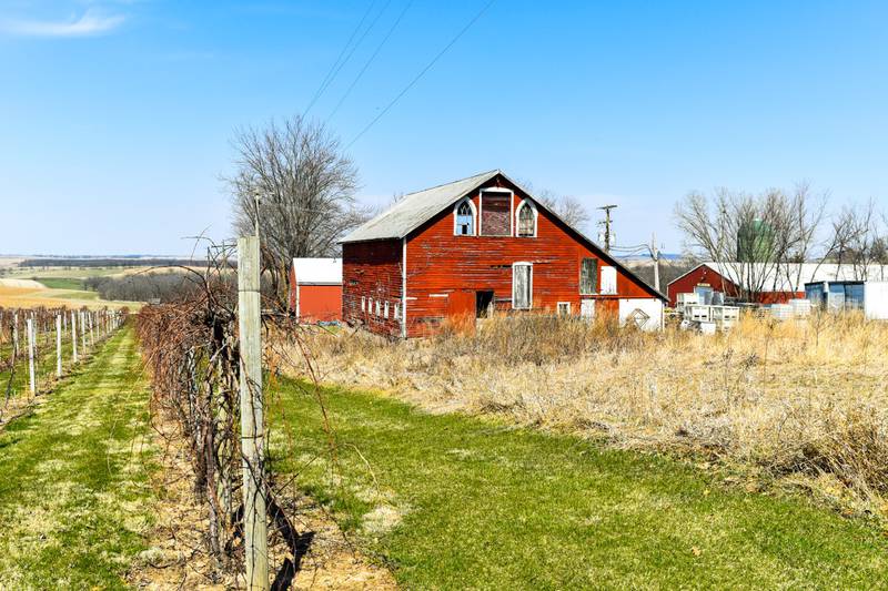 The vineyards of Galena Cellars produce the unexpected in Illinois.