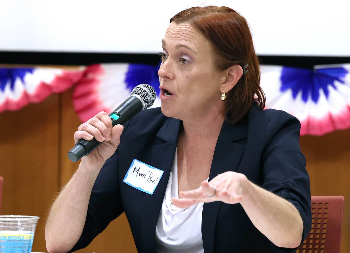 Democratic candidate Amy Murri Briel, who is vying for the nomination for the 76th district seat in the Illinois House of Representatives, answers a question Saturday, Feb. 3, 2024, in a meet the candidates forum at the DeKalb Public Library. Democratic candidates Cohen Barnes and Carolyn Zasada also spoke at the event organized by DeKalb Stands and co-sponsored by the DeKalb County Democrats.