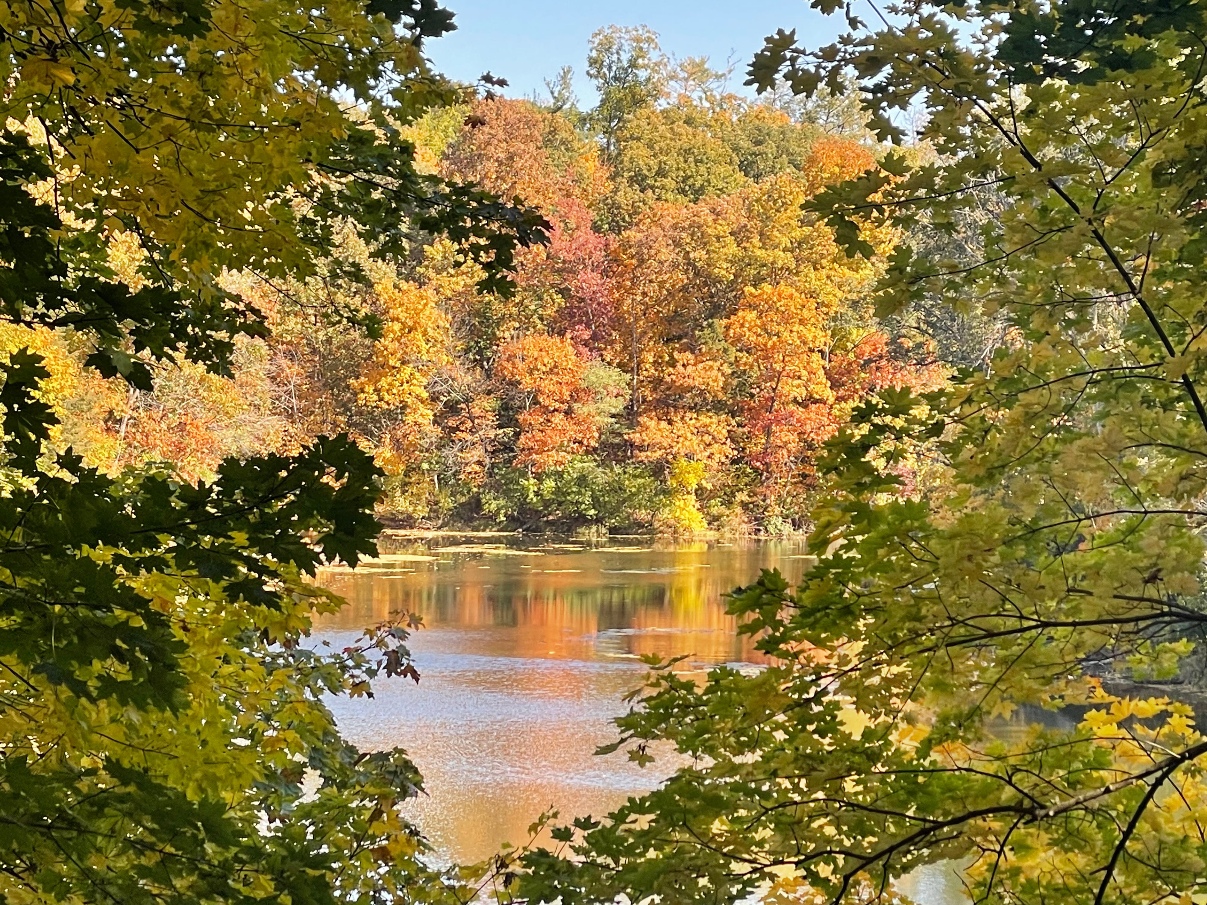 Fall colors pop at Matthiessen Lake at Matthiessen State Park on Wednesday, Oct. 19, 2022 in Oglesby.