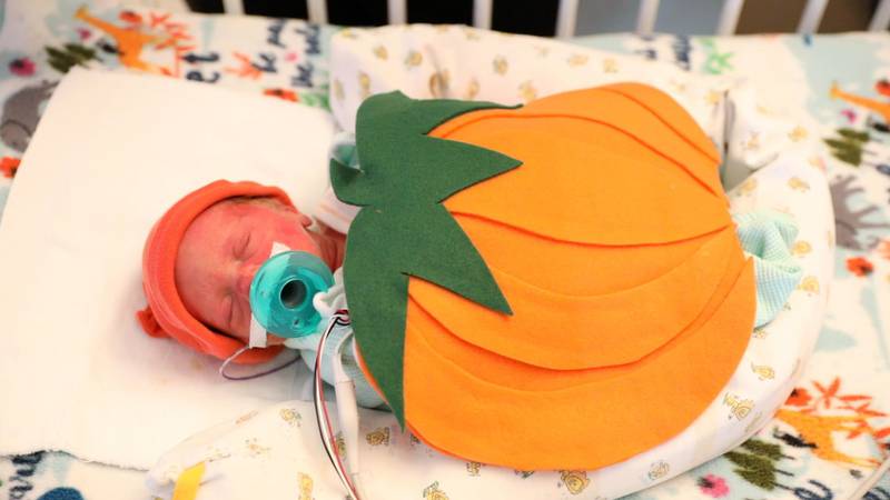 JoAnn Gorsline, a Neonatal Intensive Care Unit nurse at Mercyhealth’s Javon Bea Hospital–Riverside in Rockford, made more than 50 costumes for babies who stay in the NICU at Mercyhealth in the month of October.