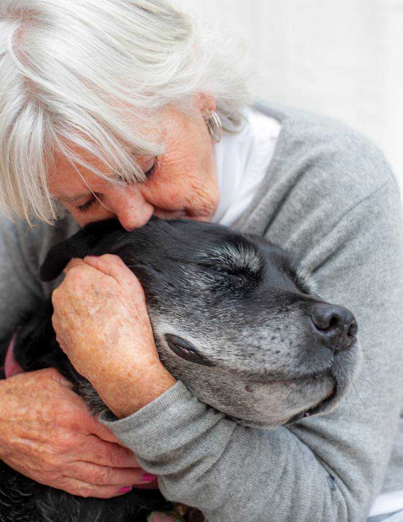 Cedar Lane Kennels - Tips For Caring For a Senior Dog