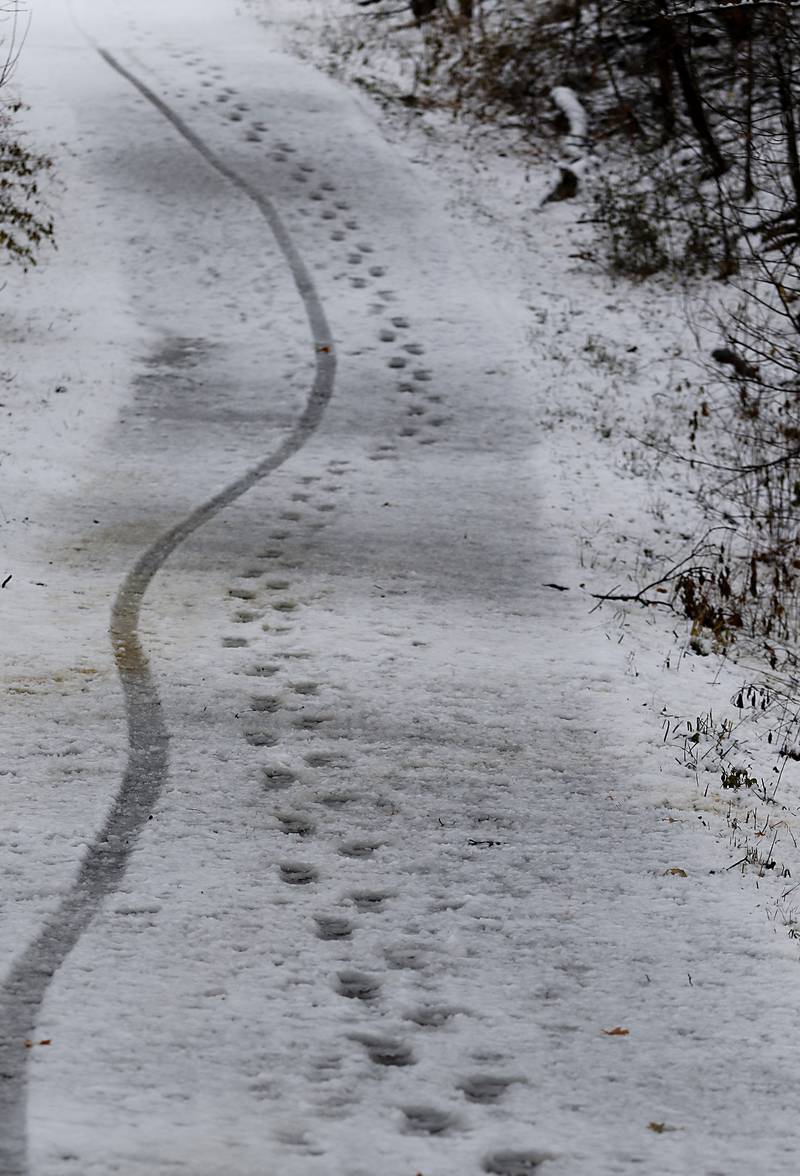 Prints in the snow from a fat tire bicycle and a walker on the McHenry County Conservation District’s Prairie Trail Friday,  Dec. 9, 2022, in Richmond. Areas of McHenry County received a couple of inches on snow after a winter storm moved through the county.