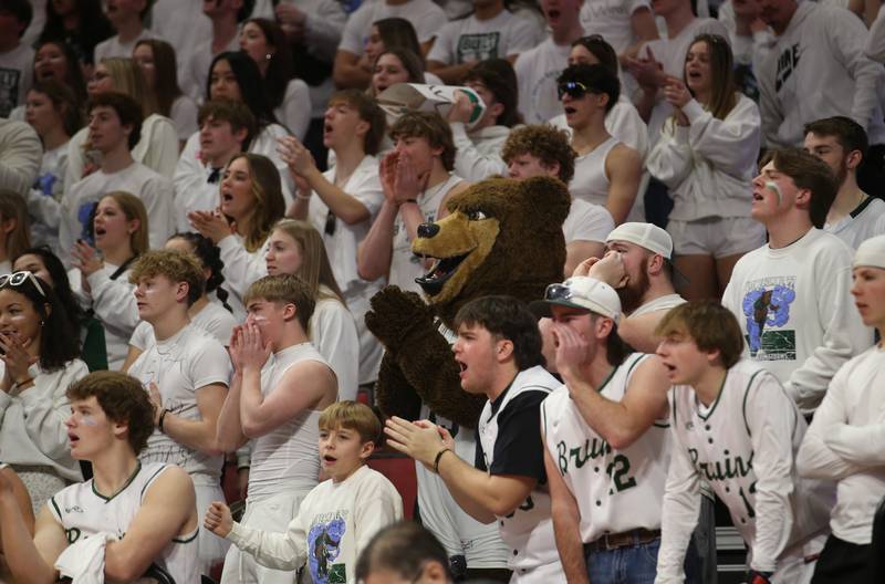 St. Bede fans cheer on the Lady Bruins during the Class 1A State semifinal game on Thursday, Feb. 29, 2024 at CEFCU Arena in Normal.