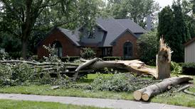 Cleanup, power restoration underway in Crystal Lake, McHenry County from Monday night storms