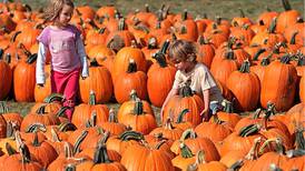 Here’s a map of pumpkin farms in northern Illinois for fall fun