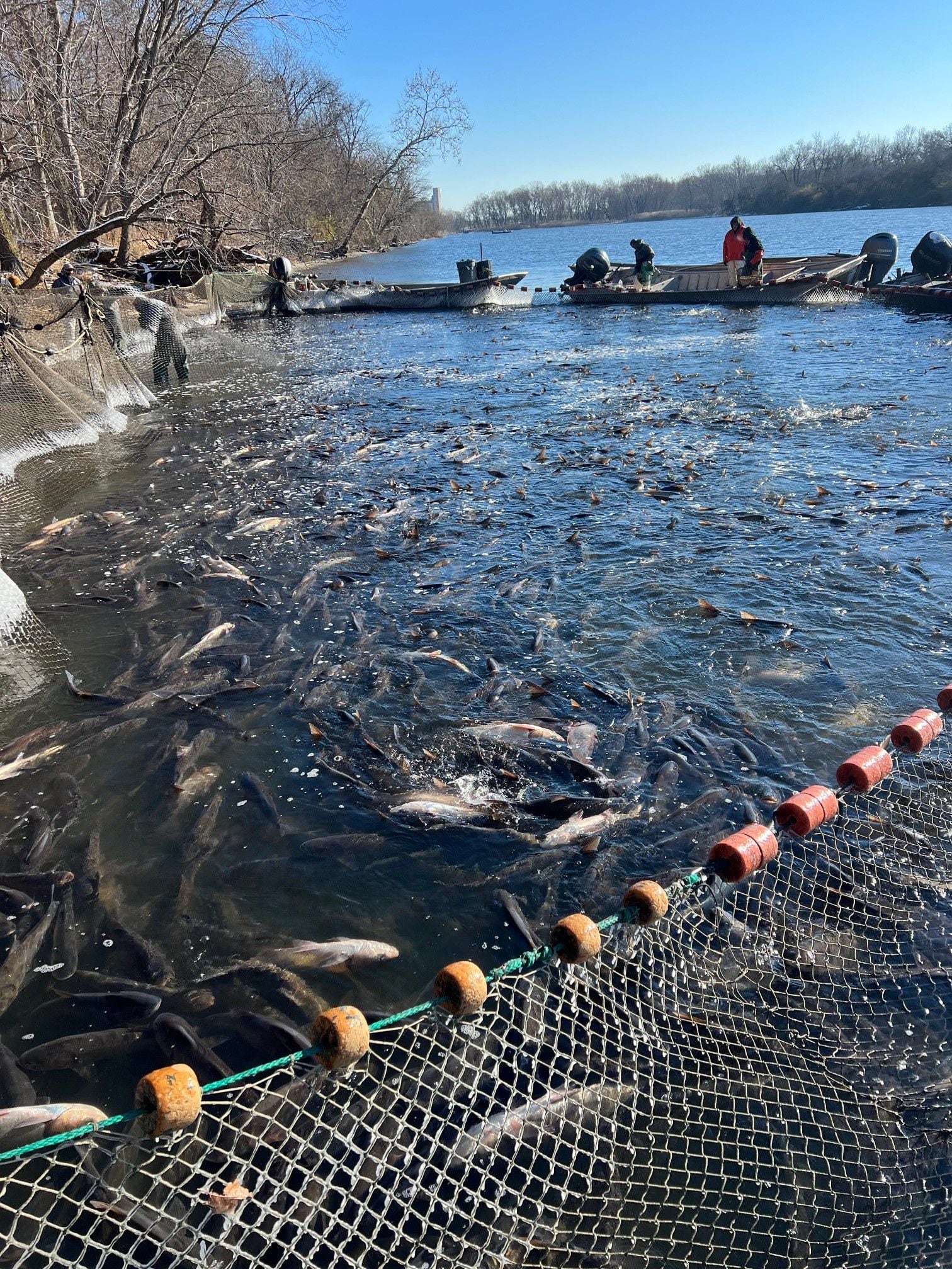 Early Spring Seneca River Carp Fishing