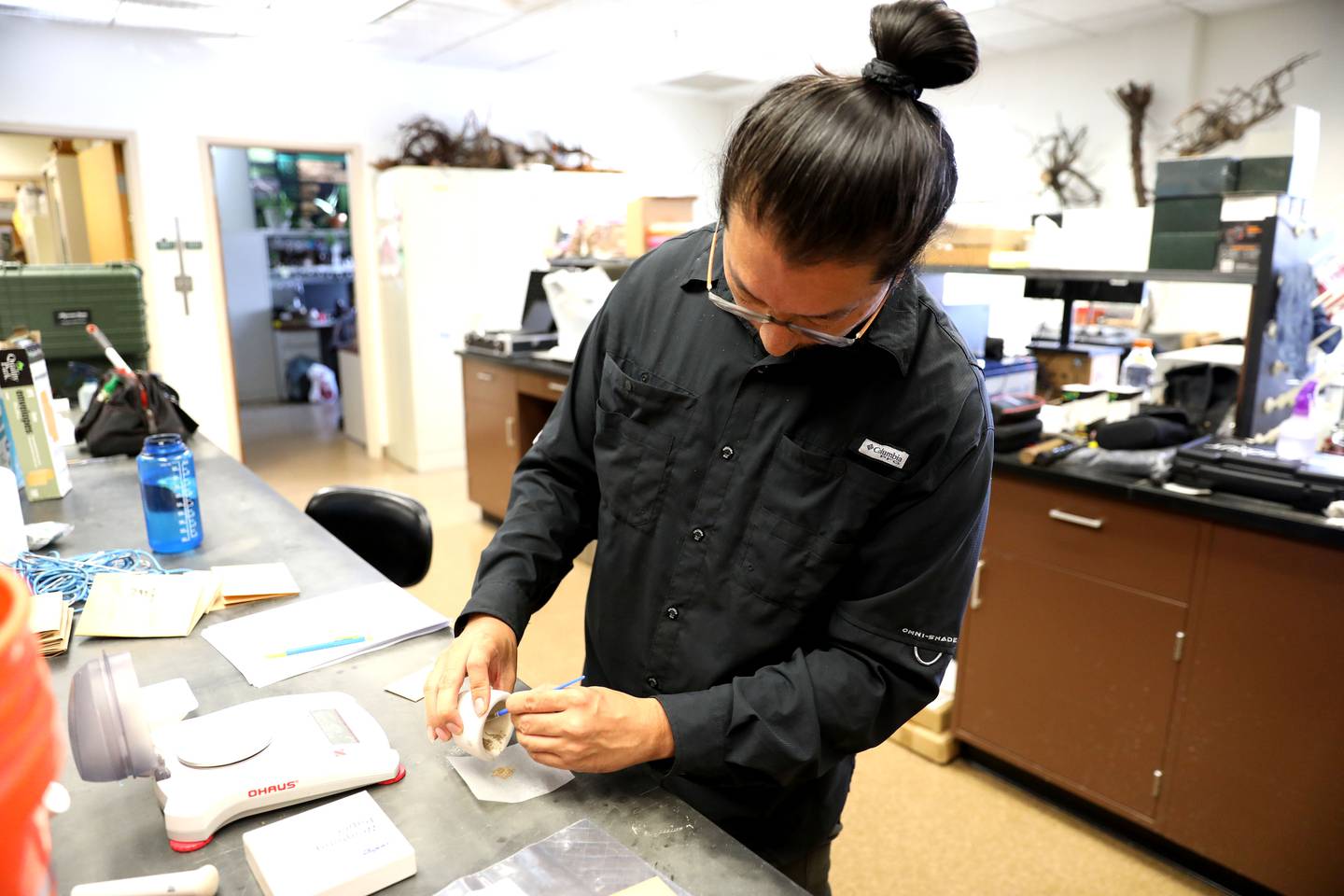 Marvin Lo, research program manager for the Root Biology Lab at the Morton Arboretum in Lisle, uses a mortar and pestle to grind dried cicadas into a fine powder as part of the arboretum’s research on cicadas and their effects on the soil and environment.