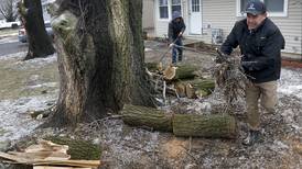 Photos: Ice storm causes power outages, downs trees in McHenry County