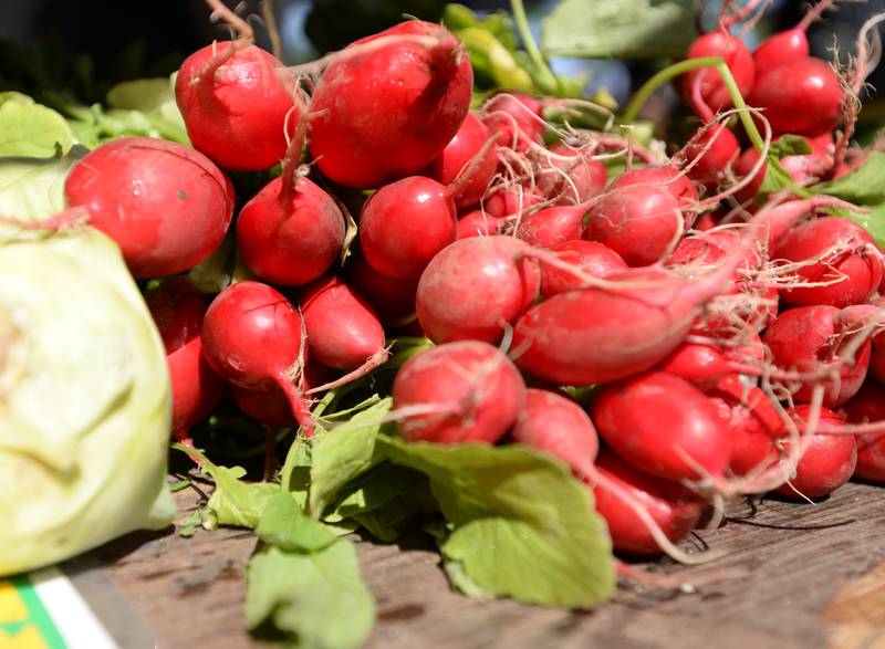 The LaGrange Farmers Market is held outside Village Hall Thursday June 7, 2024.