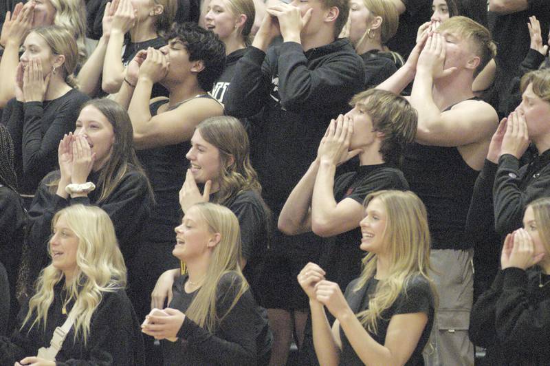 Morrison fans encourage their team during the Morrison vs Princeton class 2A basketball regional final at Prophetstown High School on Friday, Feb. 23 .