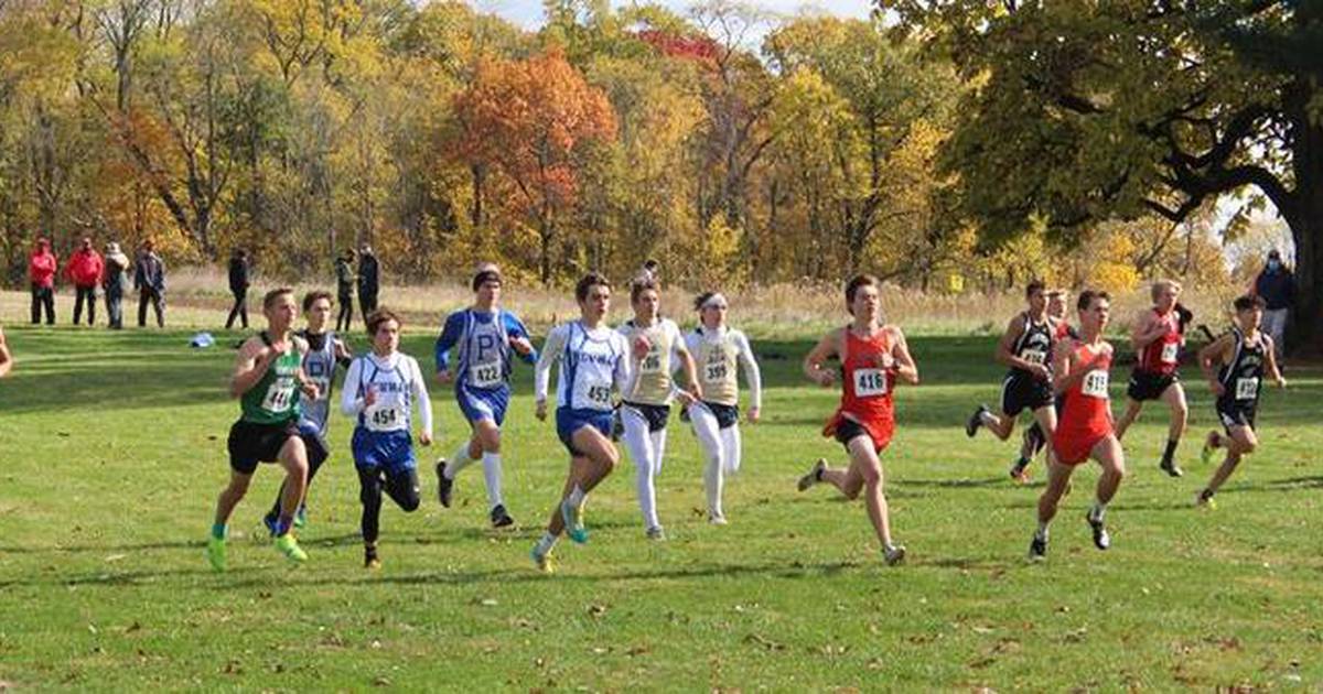 Seneca Cross Country Sectional Shaw Local