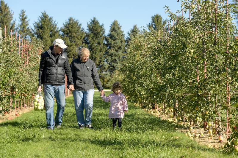 Mark and Lisa Lockett of Downers Grove take their granddaughter Lexie Ruschke, 2 apple picking at the Jonamac Orchard in Malta on Wednesday, Sept. 28, 2022.