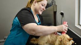 A feline first. Happy Cat Grooming opens doors in Westmont 