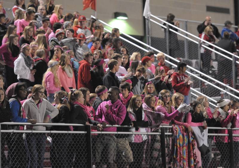 Ottawa fans cheer on the Pirates as they play L-P in 2014.