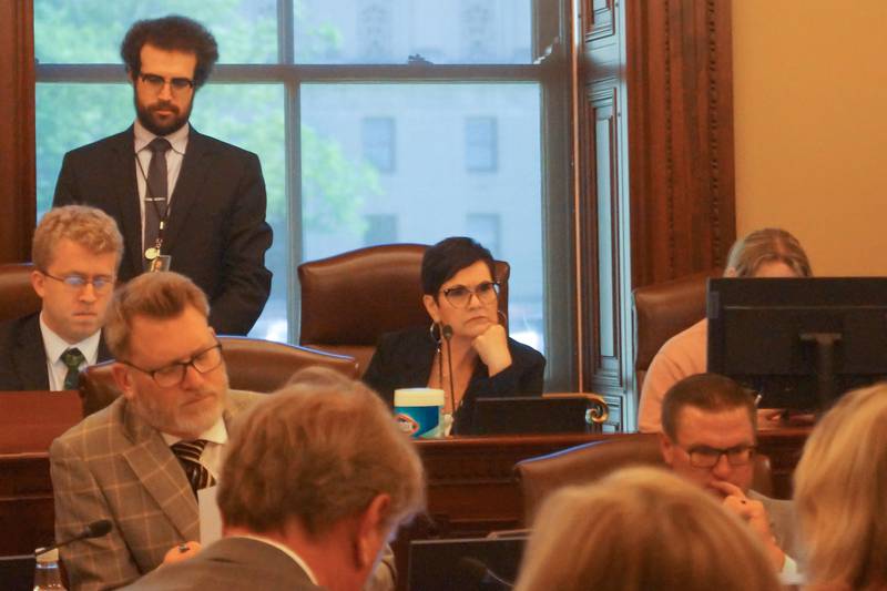 State Rep. Natalie Manley, D-Joliet, oversees a House committee hearing into the practices of pharmacy benefit managers, an opaque but powerful arm of the health insurance industry.