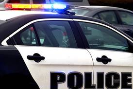 Sheriff’s deputies de-escalate situation with armed man near Wauconda