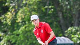 Forreston, Fulton and Rock Falls boys golf pick up wins: Sauk Valley roundup for Aug. 22