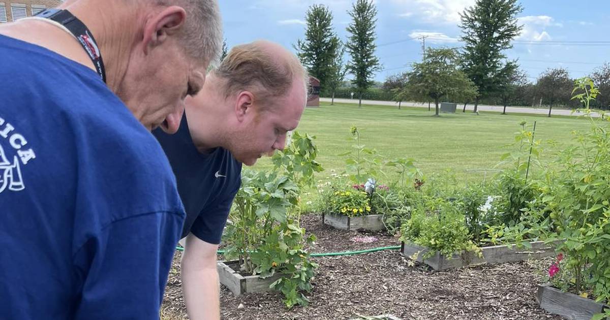 Ottawa Friendship House participates in garden clean up