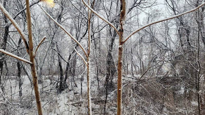 Photo of a trail in Dixon after snow hit northern Illinois on Tuesday, January 9