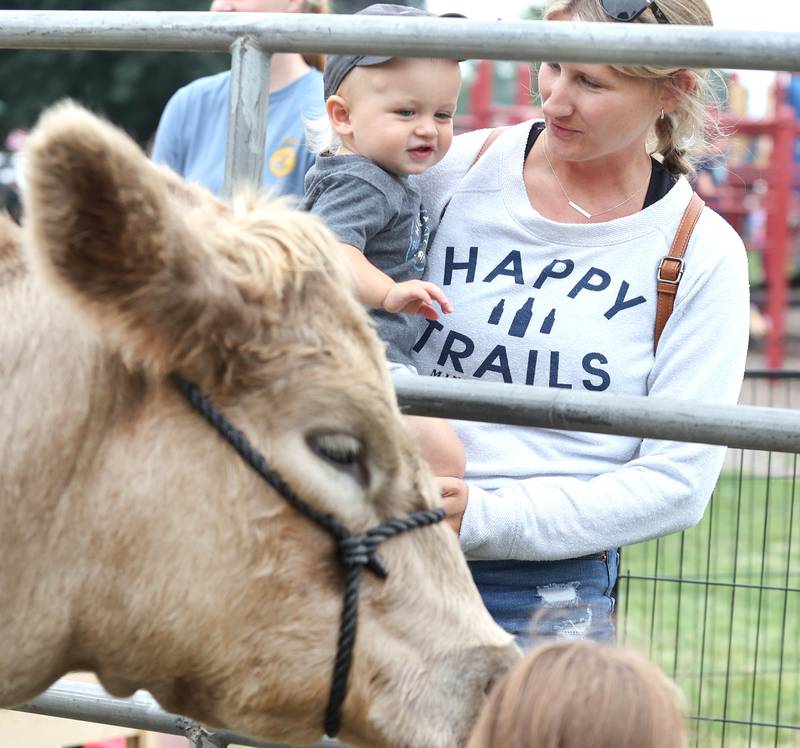 Ryder Simpson, 1, gets some encouragement from his mom Laura but he isn't sure if he wants to pet a cow Saturday, July 16, 2022, at the Waterman Lions Summerfest and Antique Tractor and Truck Show at Waterman Lions Club Park.