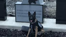 Peru K-9 Officer Saxon retires