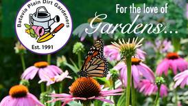 Batavia garden club holding July garden walk