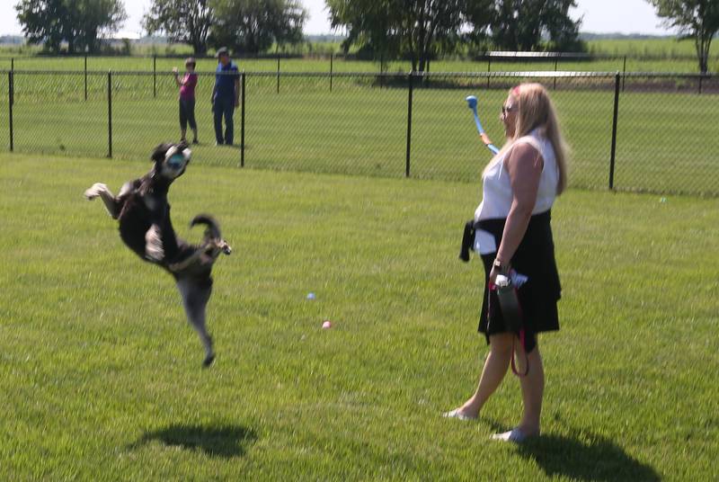 Julie Wayland plays fetch with her dog Augie during the opening of a new a new dog park on Thursday, May 23, 2024 at Zearing Park in Princeton. The one acre park has duel sections for small and large dogs, benches, a dog water fountain and waste station. Jeanne Hutchinson has donated the funds to the Princeton Park District to fund the building of the dog park and to generate income to help maintain its care.