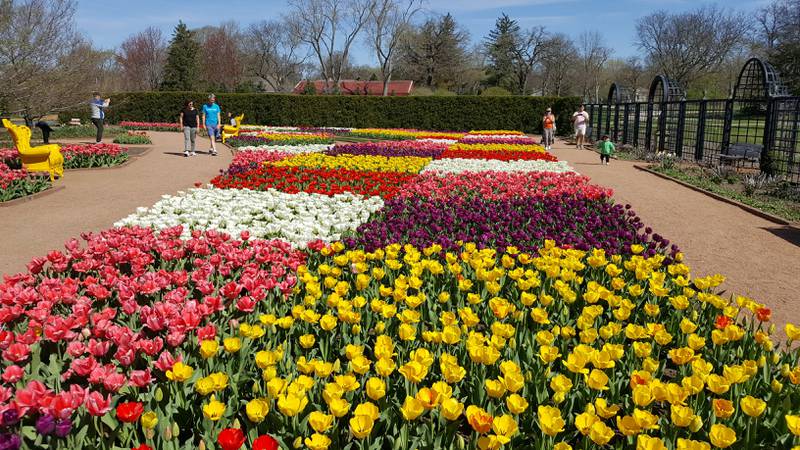 Enjoy Cantigny’s beautiful gardens, live music, shopping and more at Spring Fest from 10 a.m to 4 p.m. Saturday, May 18.