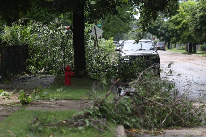 Large tree branches litter the sidewalk and street along Richards Street after a storm blew through Joliet Sunday morning, July 14, 2024.