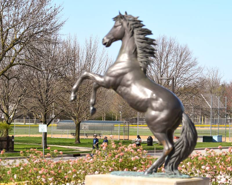 Members of the Mustang Trot walk past a Mustang statue on Sunday April 14, 2024, as they start and finish outside of Downers Grove South High School.
