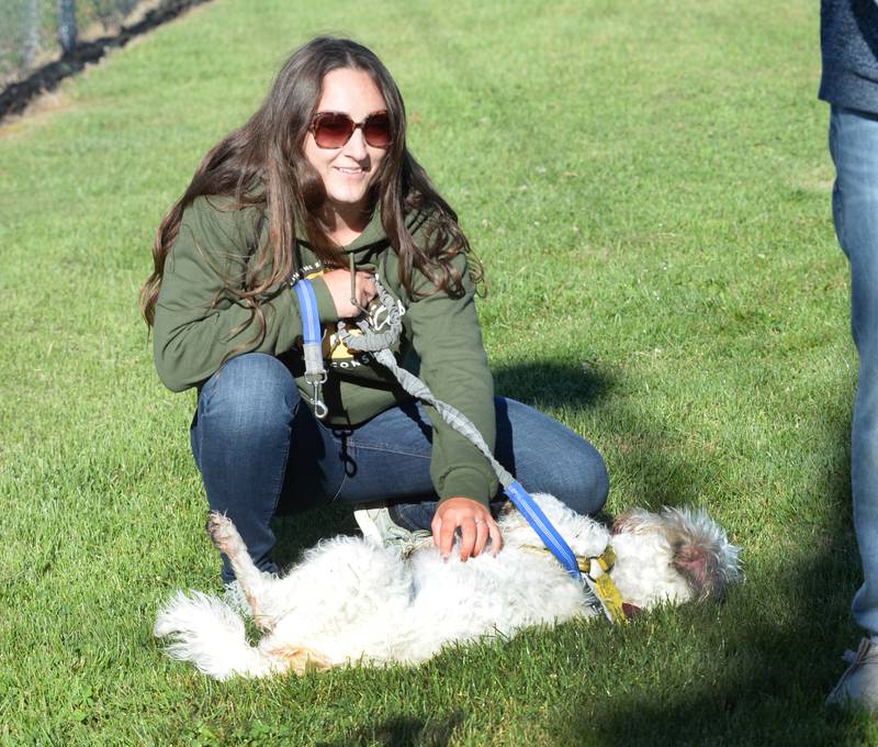 Emily Cahill of Mt. Morris gives her dog, Rainbow, a warm-up belly rub, before starting the 1-mile walk at Polo High School's 2024 Doggy Dash on Saturday, Sept. 7, 2024.