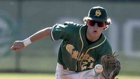 Baseball: 2024 Northwest Herald preview capsules