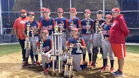 Pony League Baseball: Crest Hill Sports Huddle scores 10-0 shutout for league title